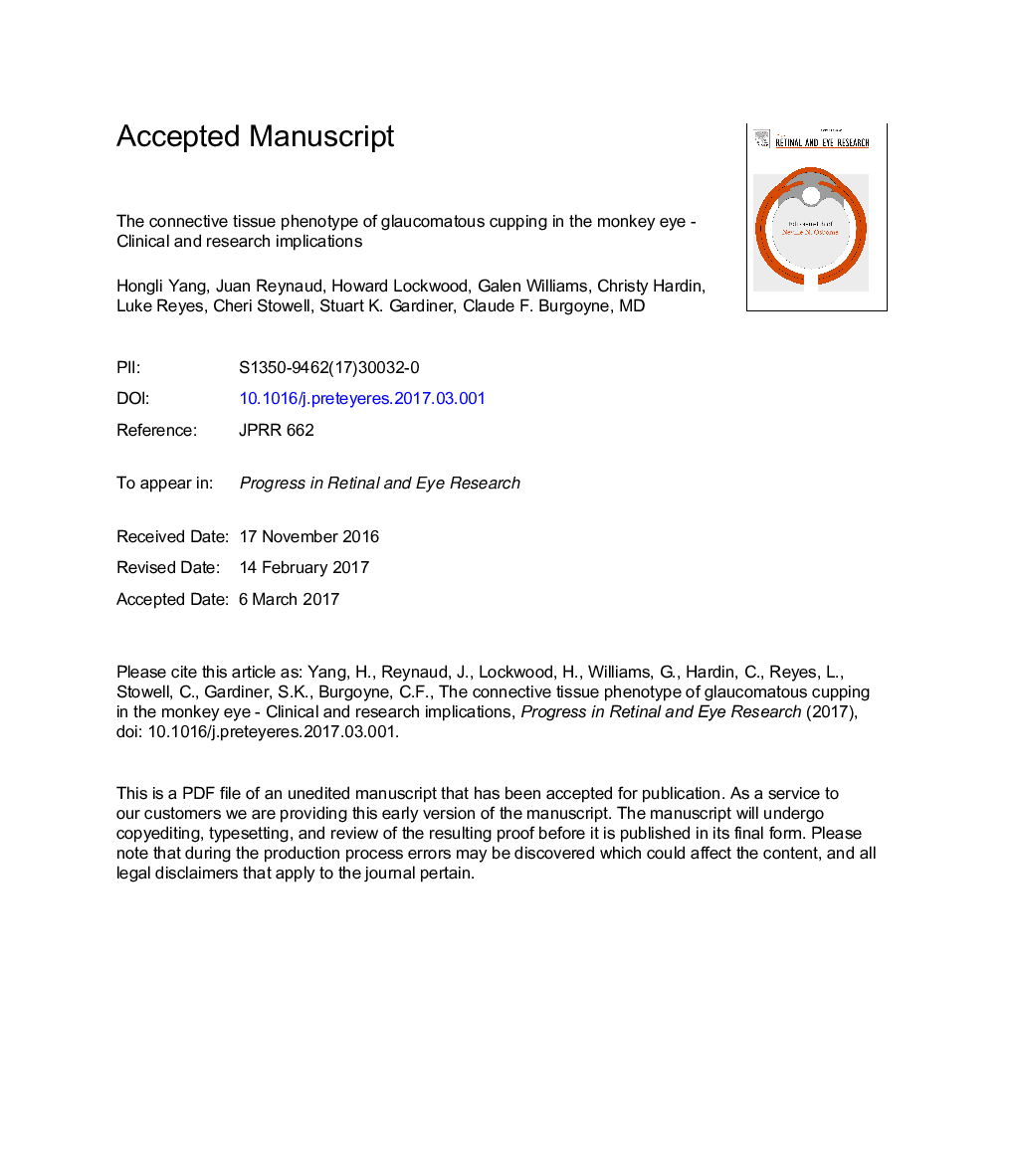 The connective tissue phenotype of glaucomatous cupping in the monkey eye - Clinical and research implications