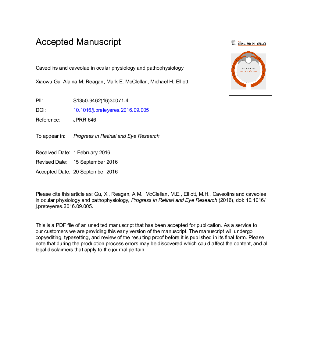 Caveolins and caveolae in ocular physiology and pathophysiology