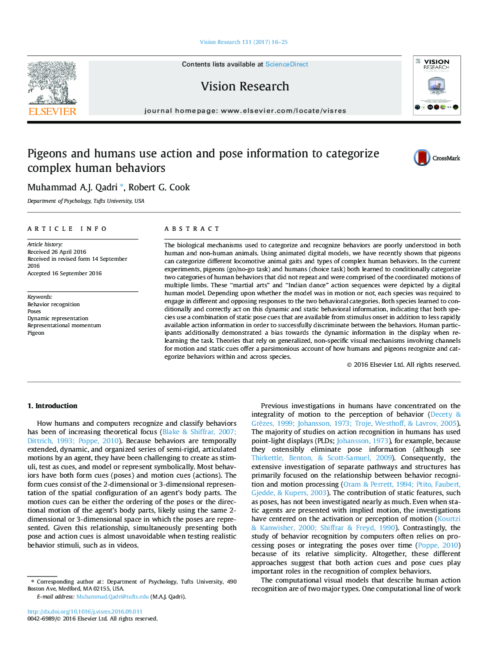 Pigeons and humans use action and pose information to categorize complex human behaviors