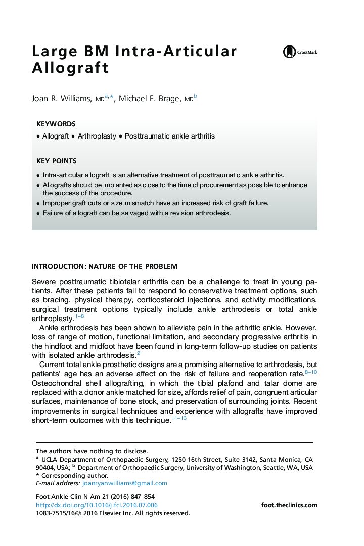 Large BM Intra-Articular Allograft