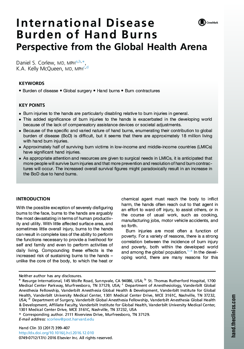 International Disease Burden of Hand Burns