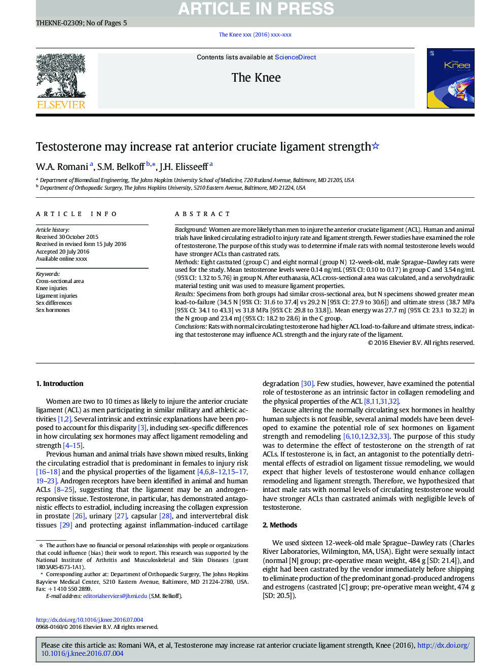 Testosterone may increase rat anterior cruciate ligament strength