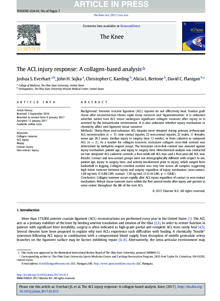 The ACL injury response: A collagen-based analysis