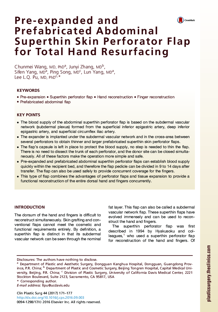 Pre-expanded and Prefabricated Abdominal Superthin Skin Perforator Flap for Total Hand Resurfacing