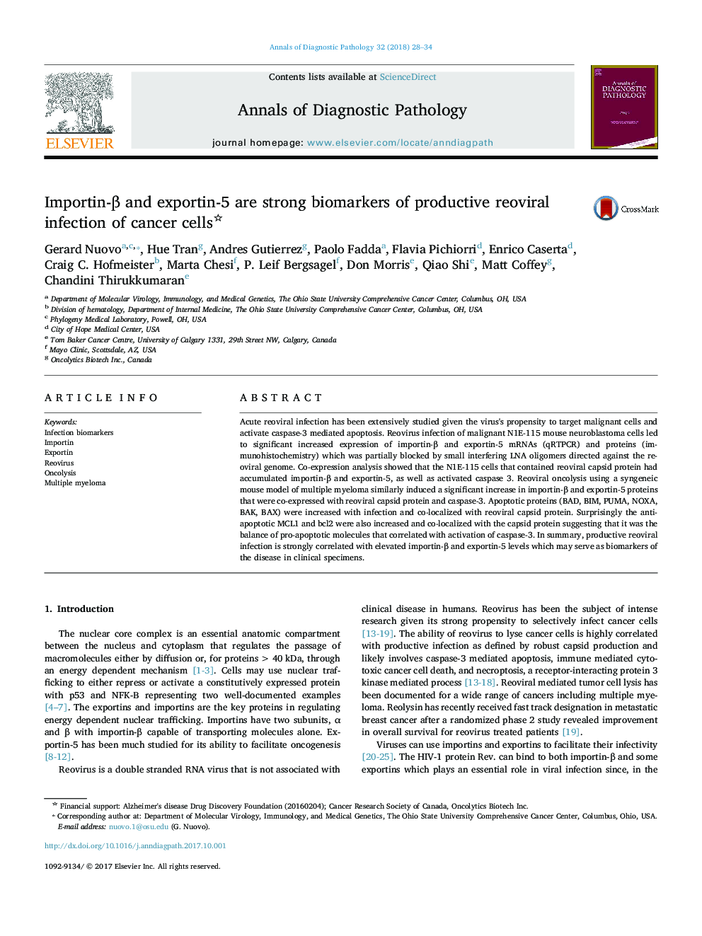 Importin-Î² and exportin-5 are strong biomarkers of productive reoviral infection of cancer cells