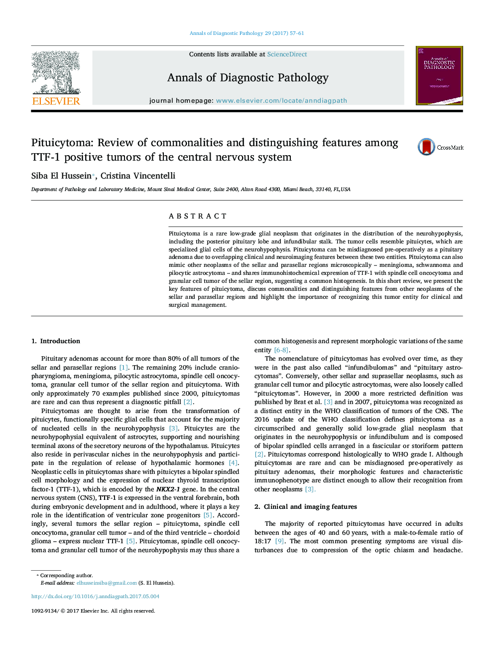 Pituicytoma: Review of commonalities and distinguishing features among TTF-1 positive tumors of the central nervous system