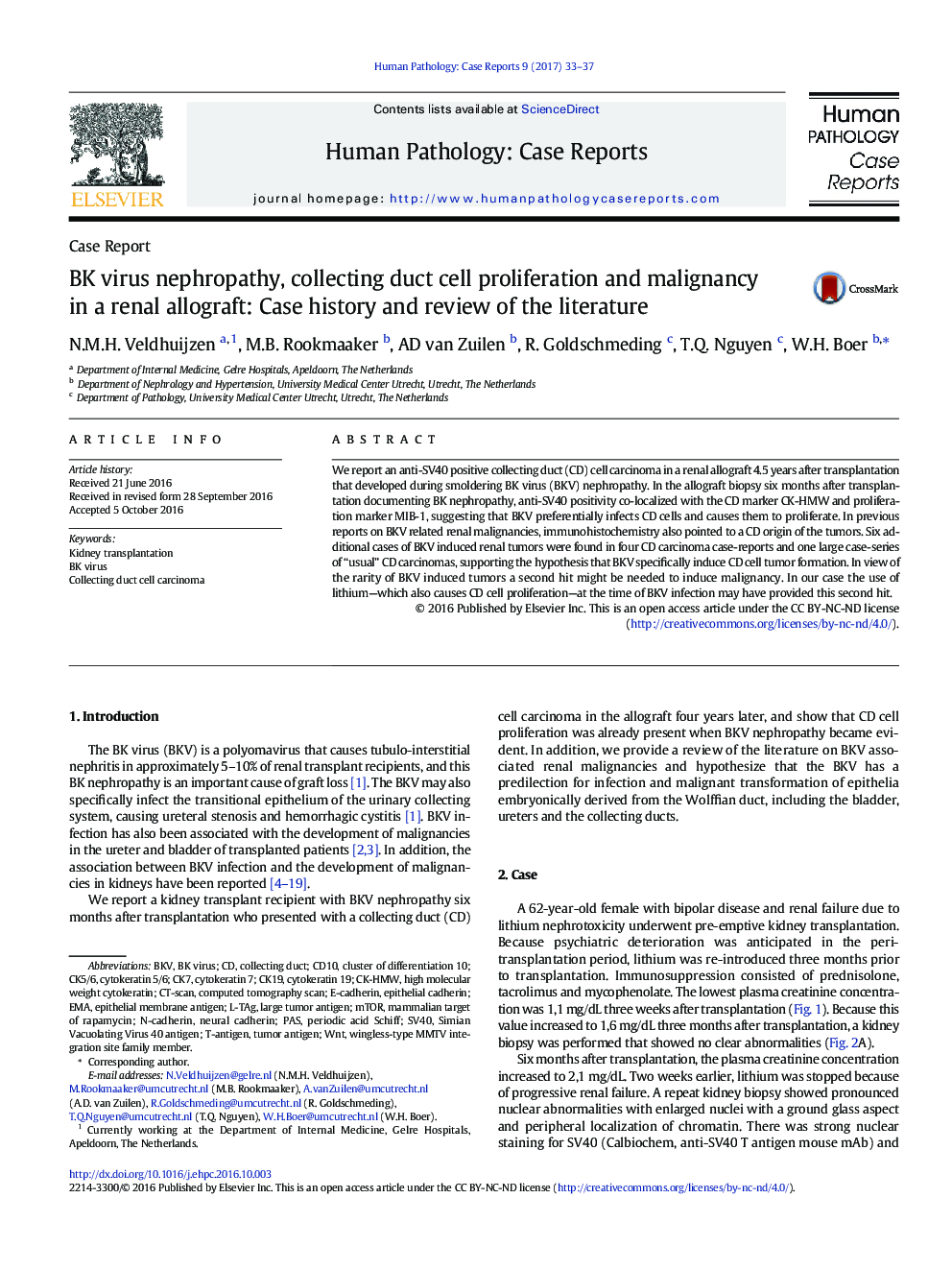 Case ReportBK virus nephropathy, collecting duct cell proliferation and malignancy in a renal allograft: Case history and review of the literature