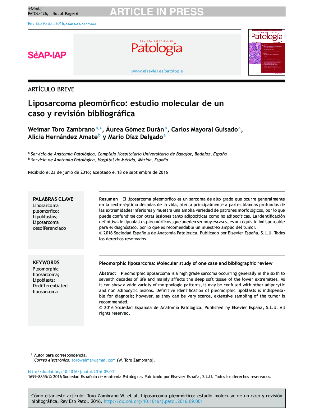 Liposarcoma pleomórfico: estudio molecular de un caso y revisión bibliográfica