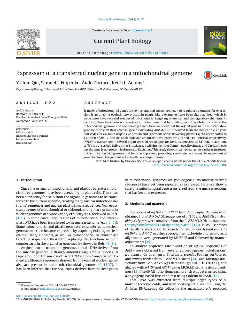 Expression of a transferred nuclear gene in a mitochondrial genome