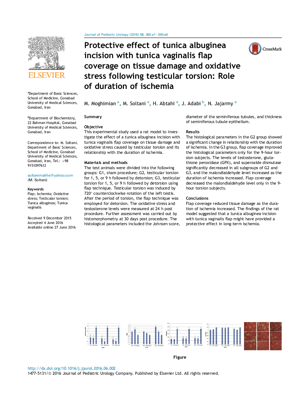 Protective effect of tunica albuginea incision with tunica vaginalis flap coverage on tissue damage and oxidative stress following testicular torsion: Role of duration of ischemia