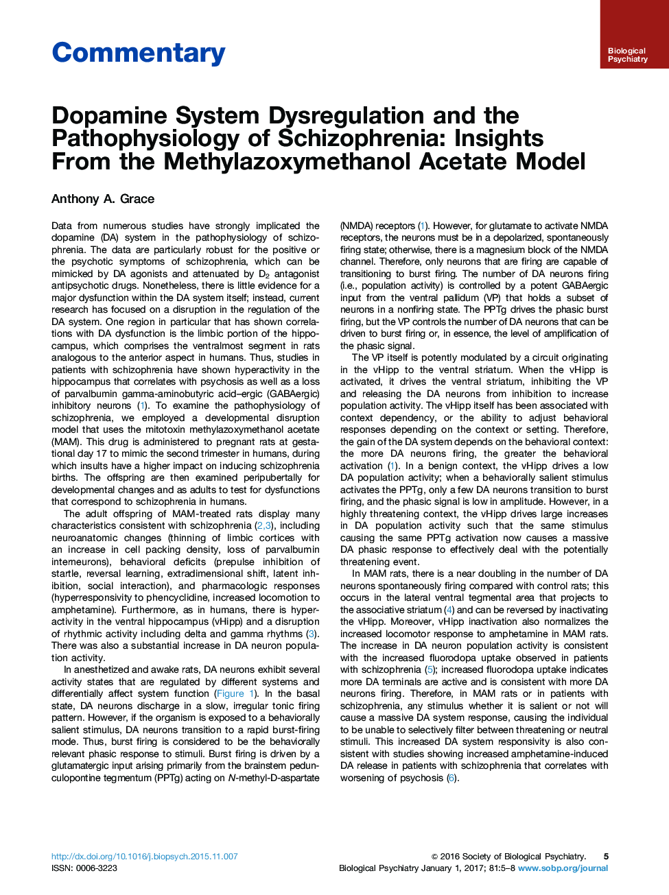 Dopamine System Dysregulation and the Pathophysiology of Schizophrenia: Insights From the Methylazoxymethanol Acetate Model