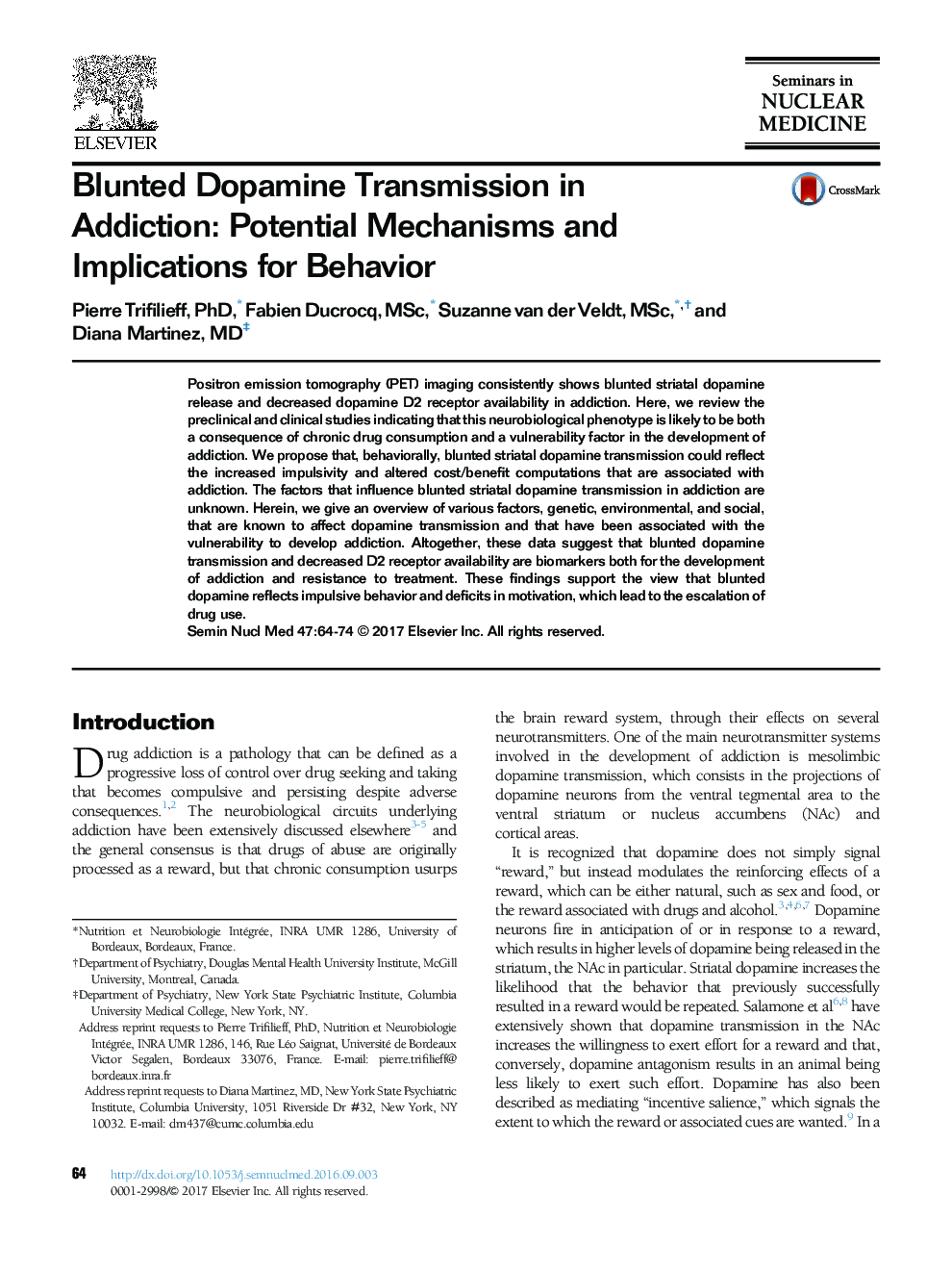 Blunted Dopamine Transmission in Addiction: Potential Mechanisms and Implications for Behavior