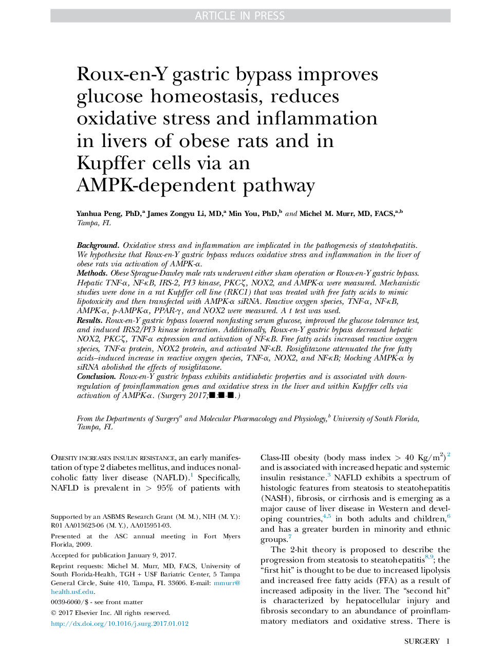 Roux-en-Y gastric bypass improves glucose homeostasis, reduces oxidative stress and inflammation in livers of obese rats and in Kupffer cells via an AMPK-dependent pathway