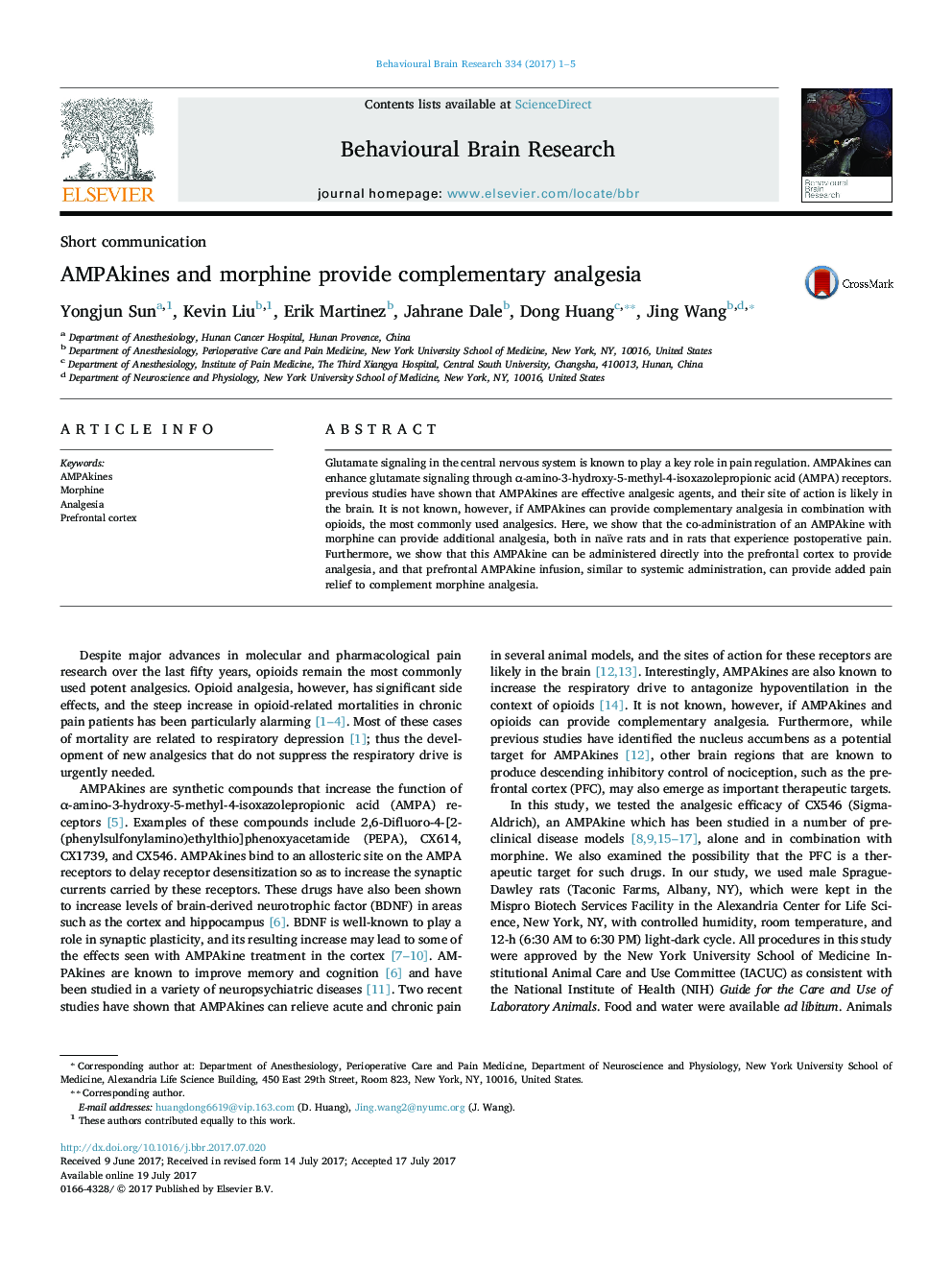 AMPAkines and morphine provide complementary analgesia