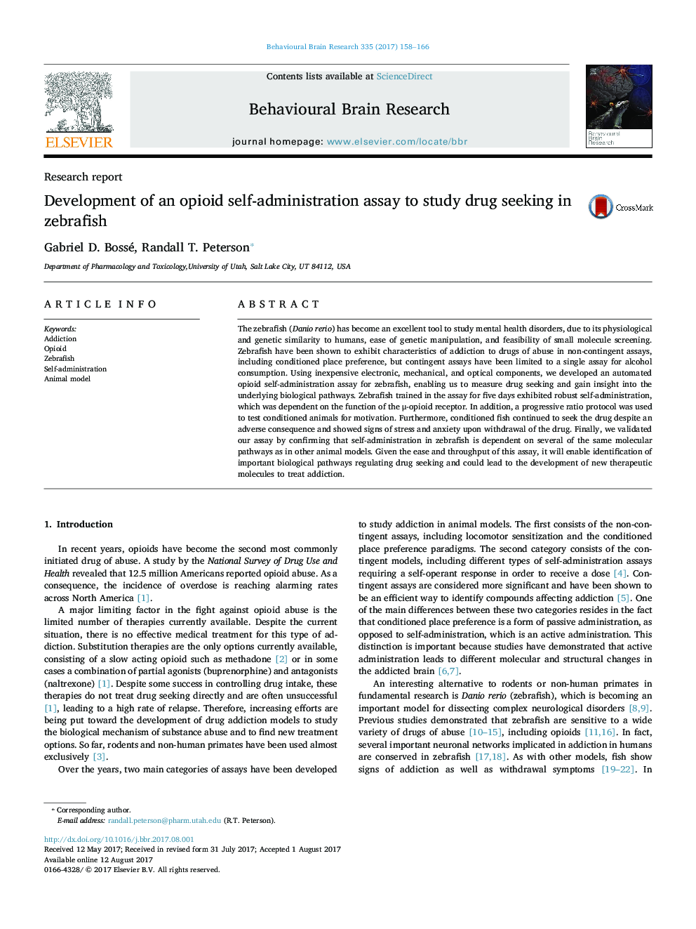 Research reportDevelopment of an opioid self-administration assay to study drug seeking in zebrafish