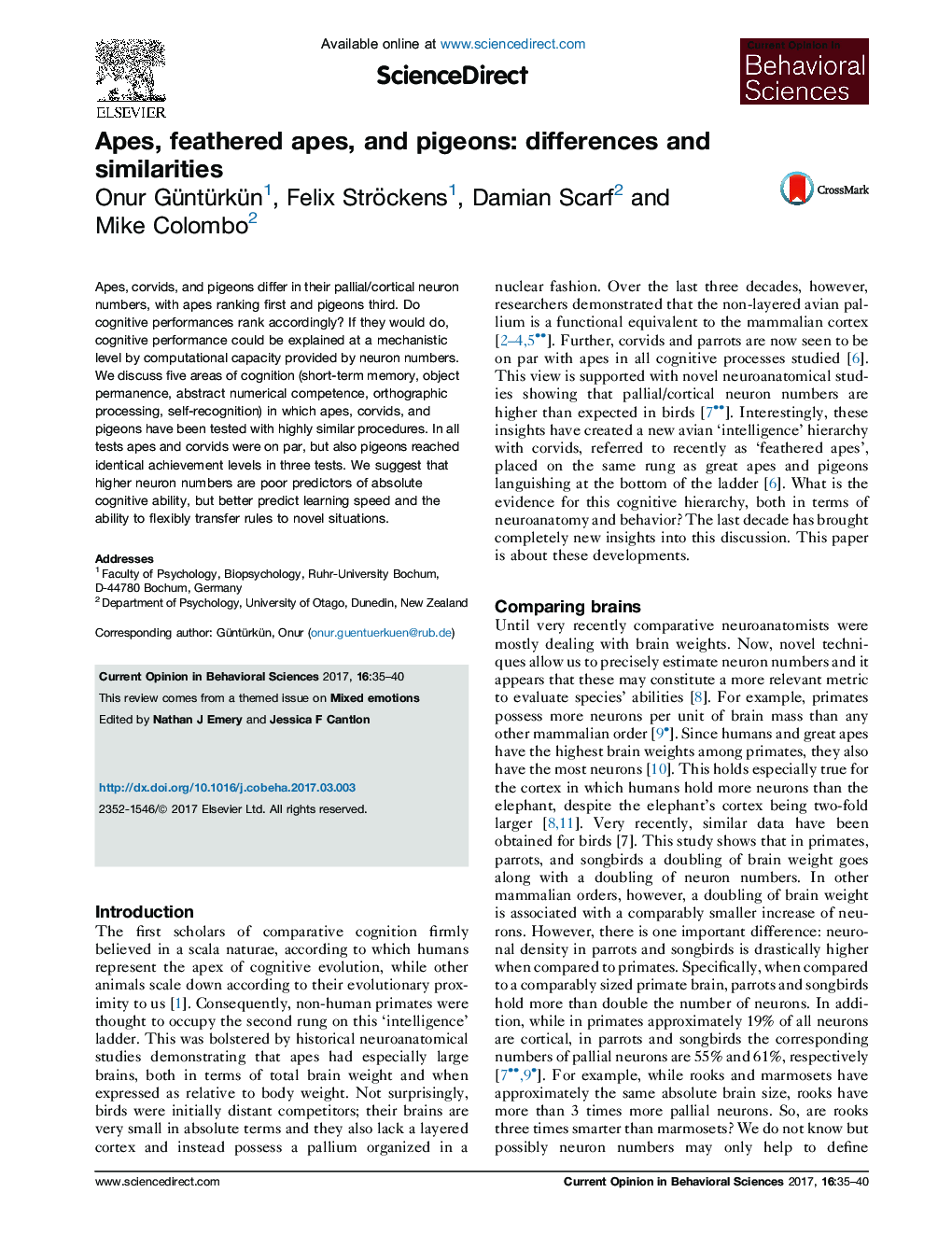 Apes, feathered apes, and pigeons: differences and similarities