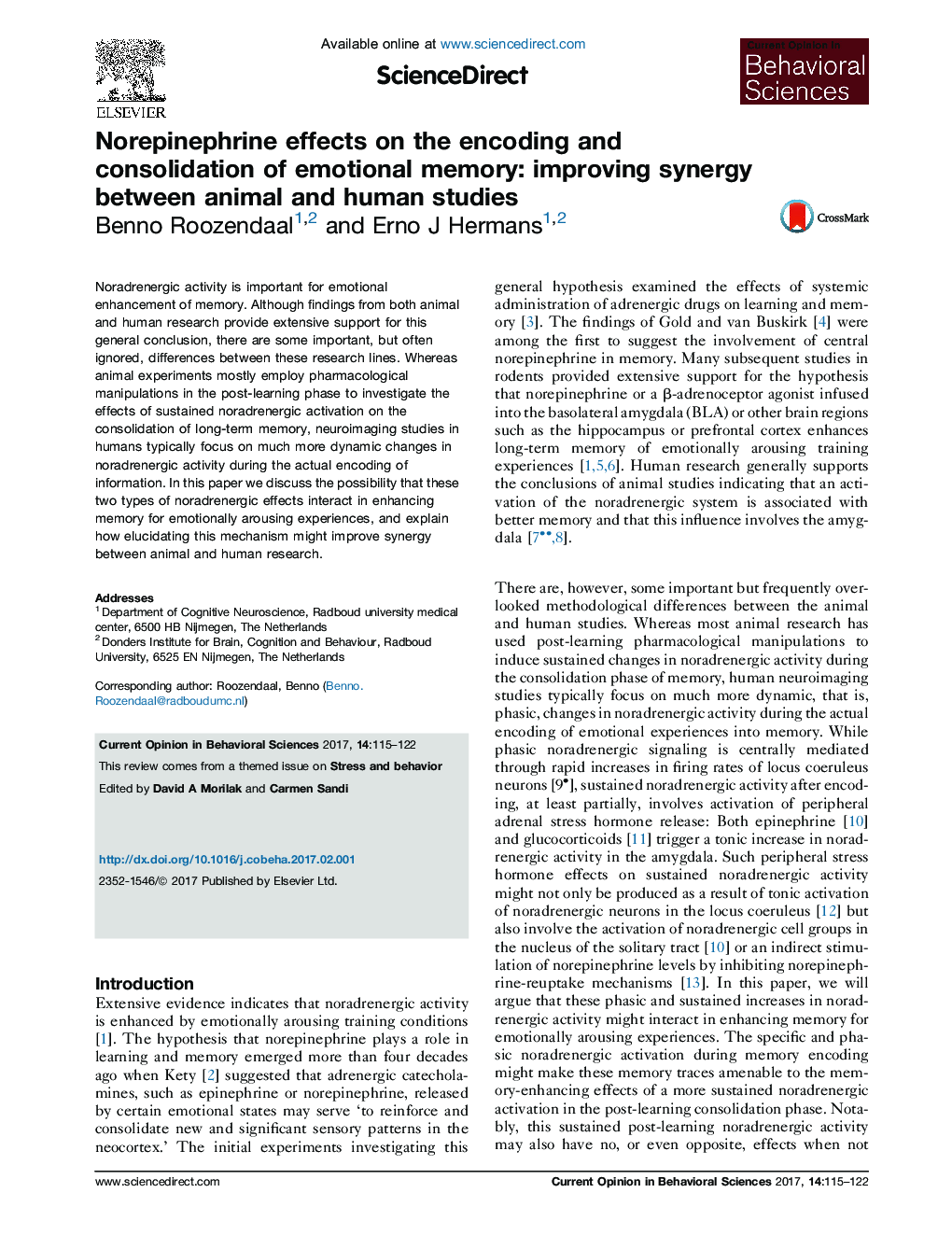 Norepinephrine effects on the encoding and consolidation of emotional memory: improving synergy between animal and human studies