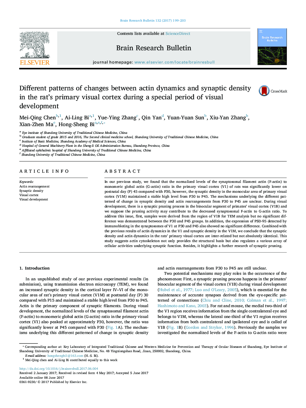 Different patterns of changes between actin dynamics and synaptic density in the rat's primary visual cortex during a special period of visual development