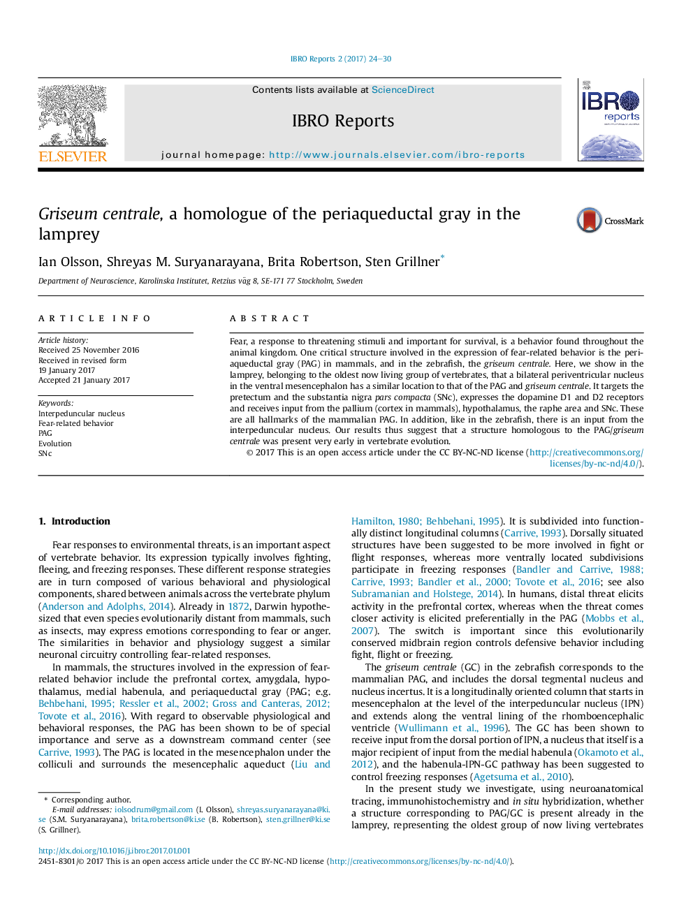 Griseum centrale, a homologue of the periaqueductal gray in the lamprey