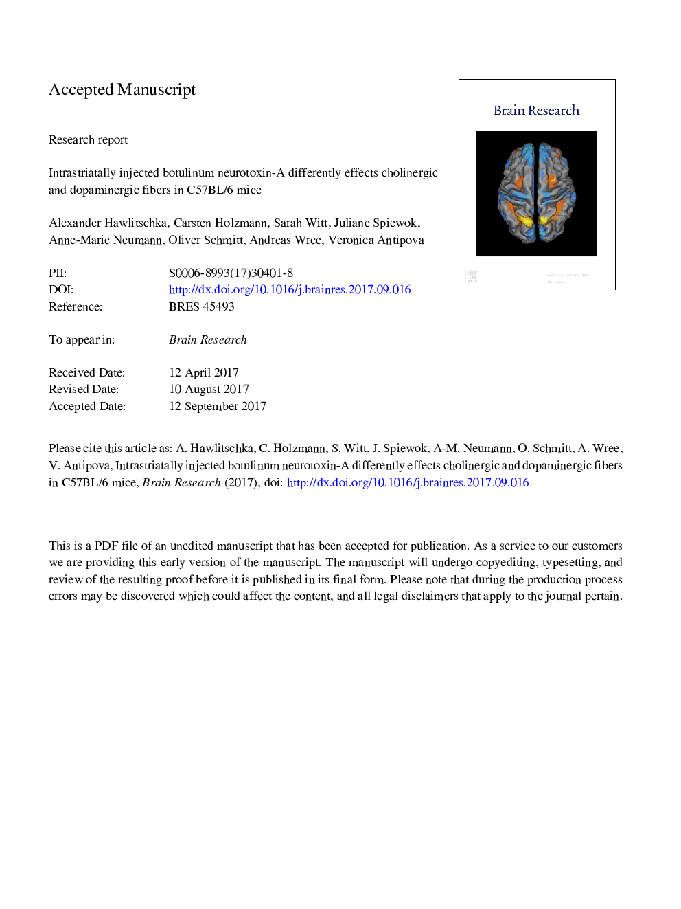 Intrastriatally injected botulinum neurotoxin-A differently effects cholinergic and dopaminergic fibers in C57BL/6 mice