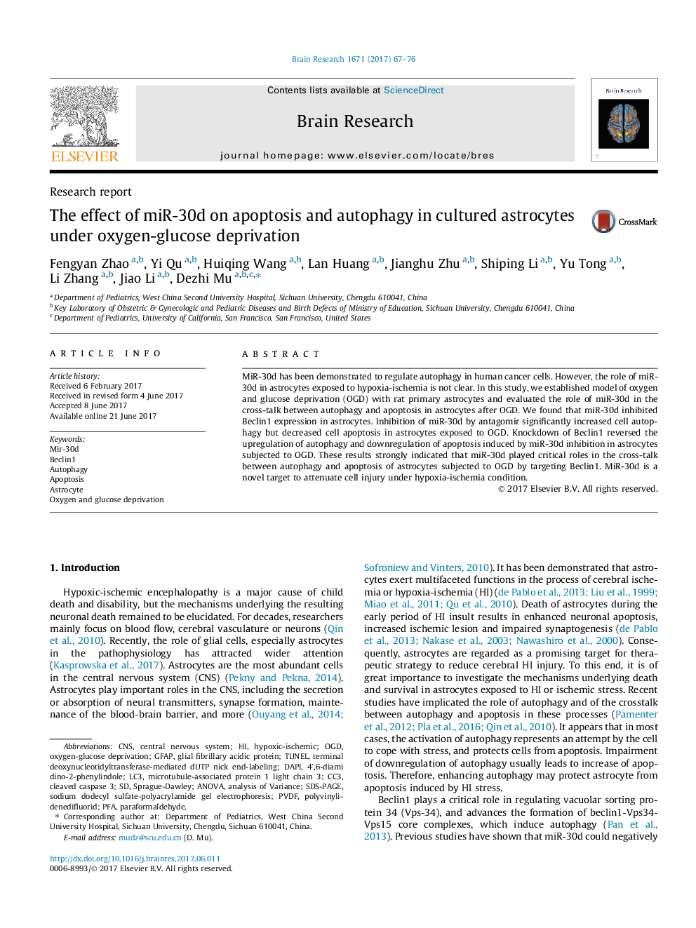 Research reportThe effect of miR-30d on apoptosis and autophagy in cultured astrocytes under oxygen-glucose deprivation