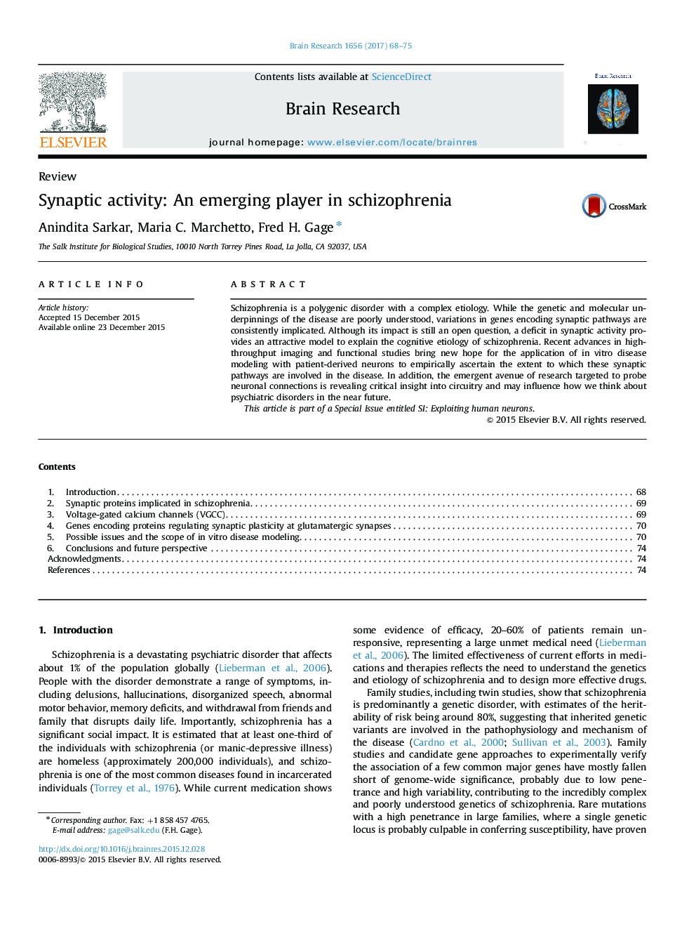 ReviewSynaptic activity: An emerging player in schizophrenia