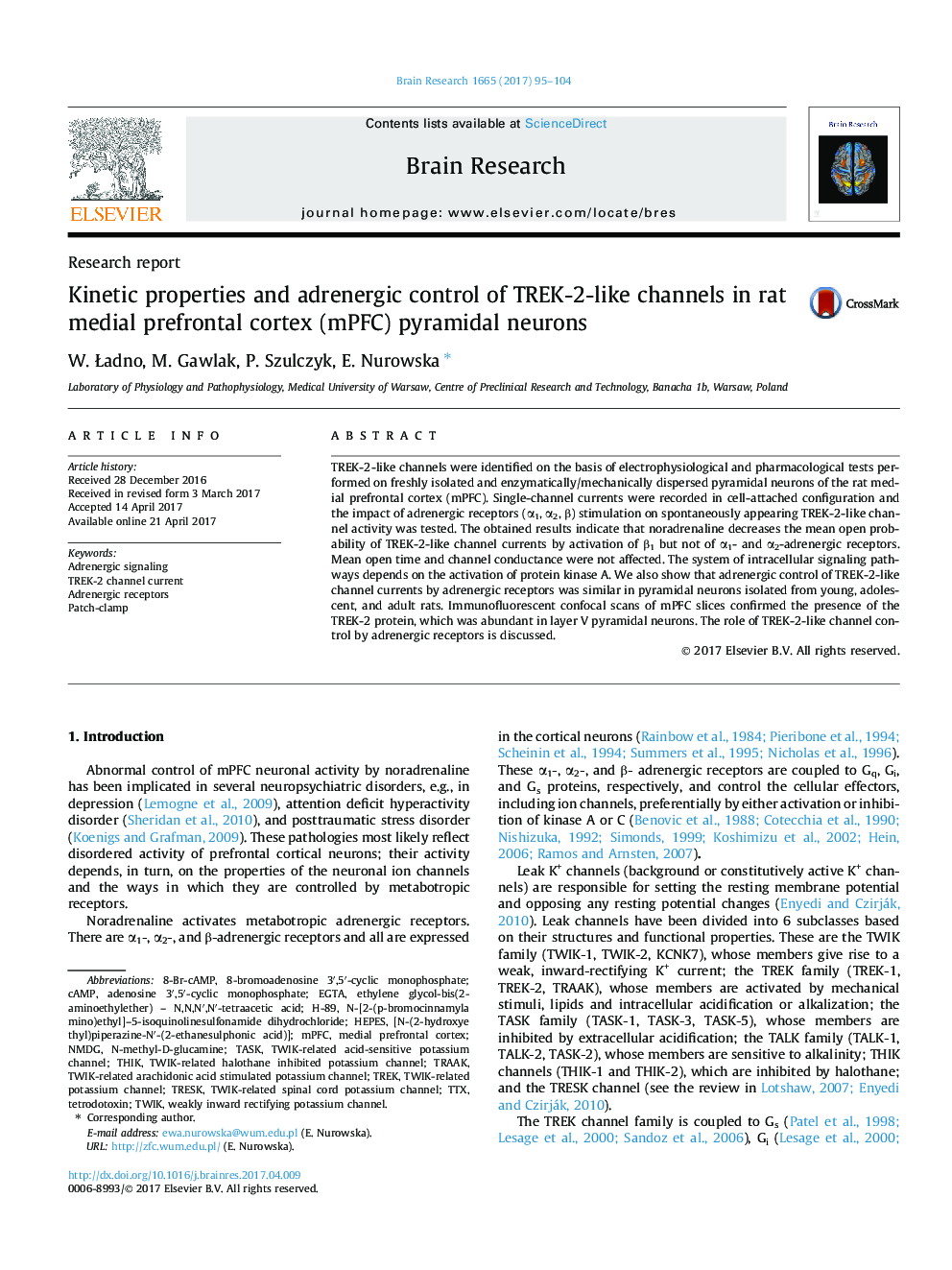 Kinetic properties and adrenergic control of TREK-2-like channels in rat medial prefrontal cortex (mPFC) pyramidal neurons