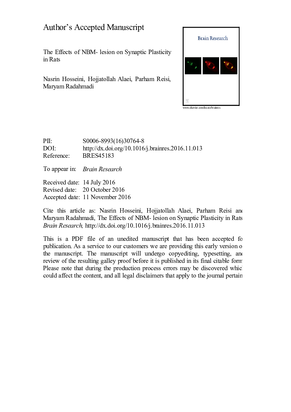 The effects of NBM- lesion on synaptic plasticity in rats