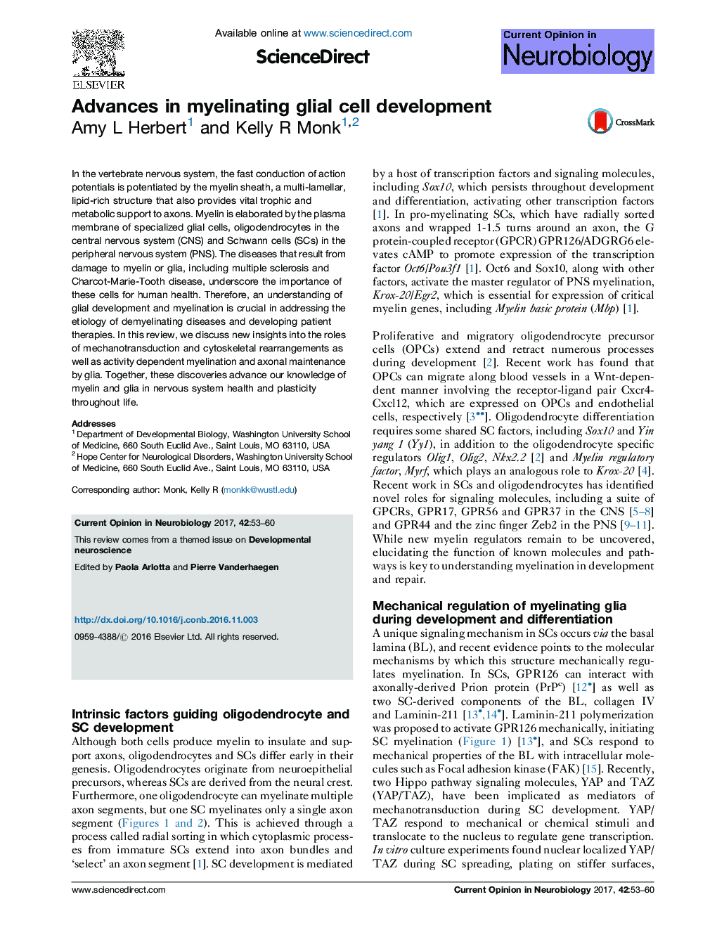 Advances in myelinating glial cell development