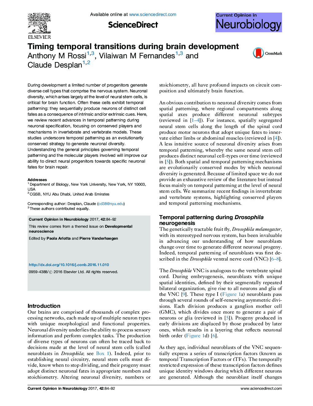 Timing temporal transitions during brain development