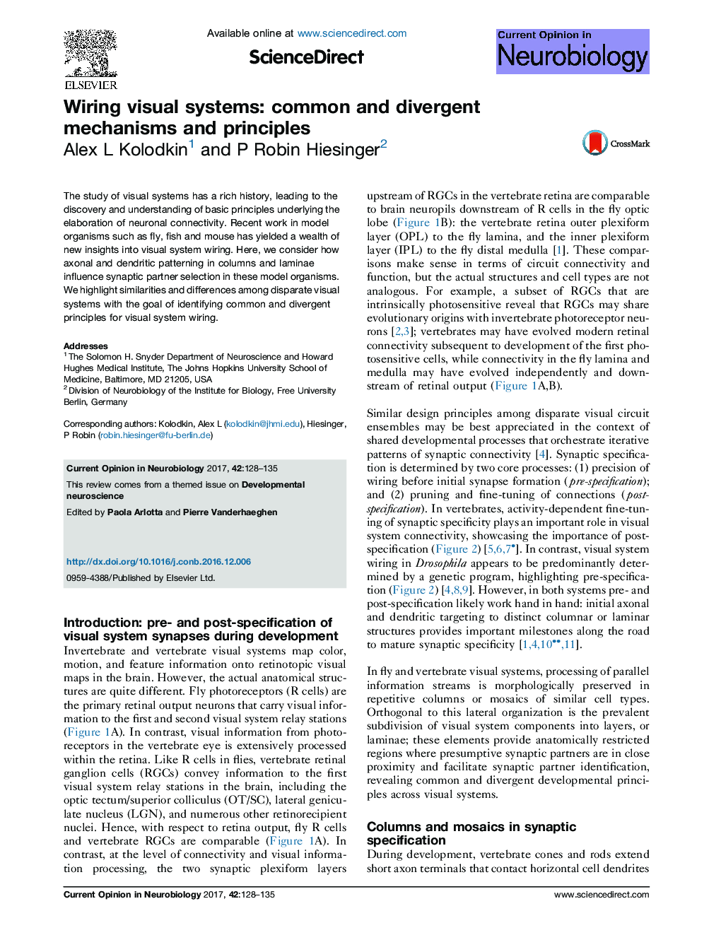 Wiring visual systems: common and divergent mechanisms and principles