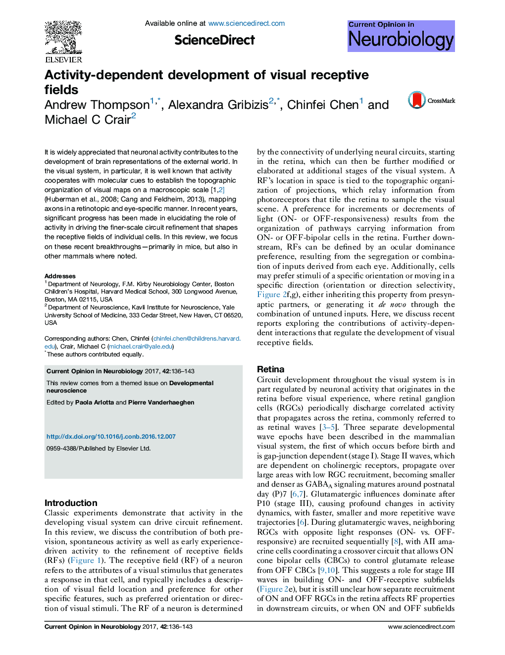 Activity-dependent development of visual receptive fields