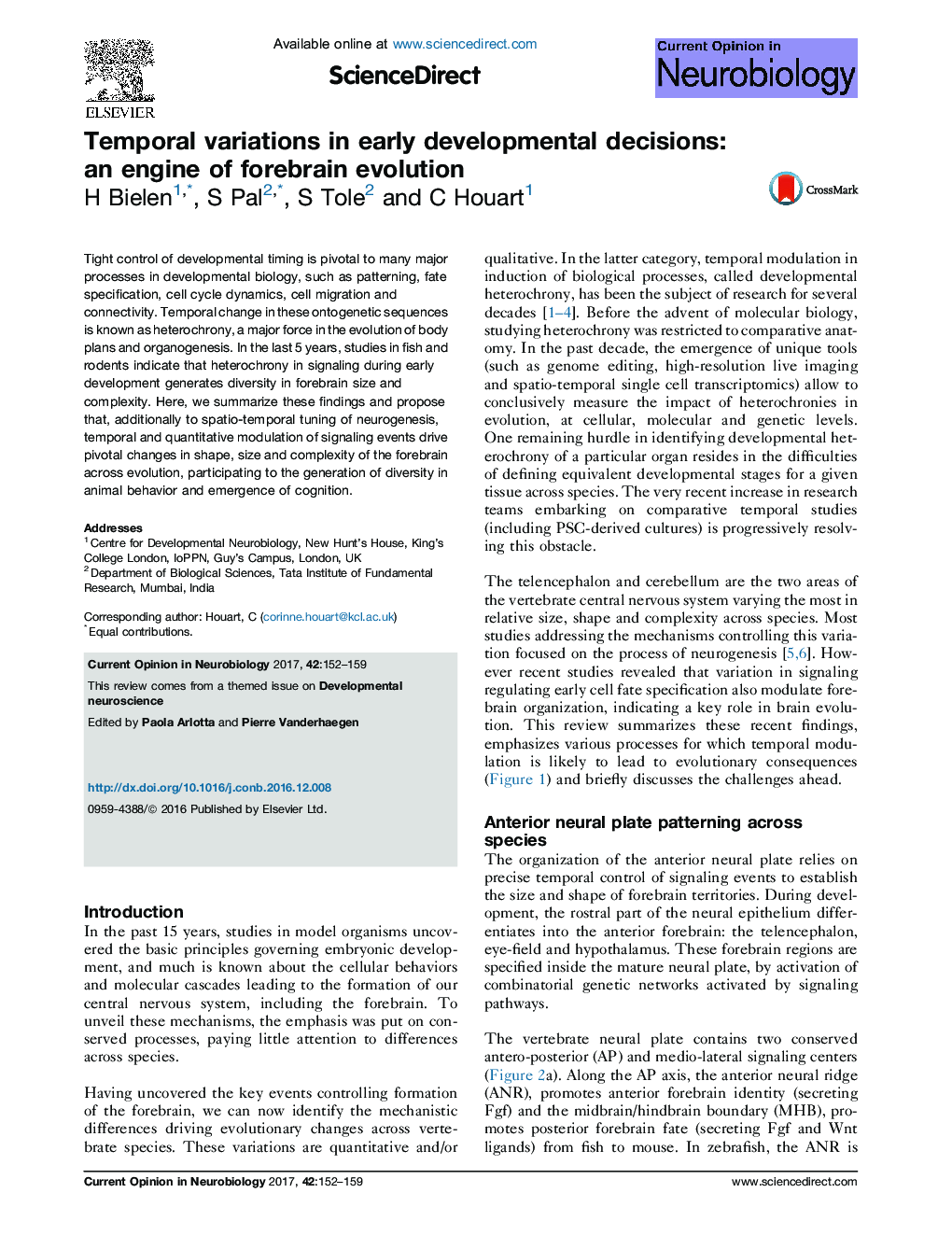 Temporal variations in early developmental decisions: an engine of forebrain evolution