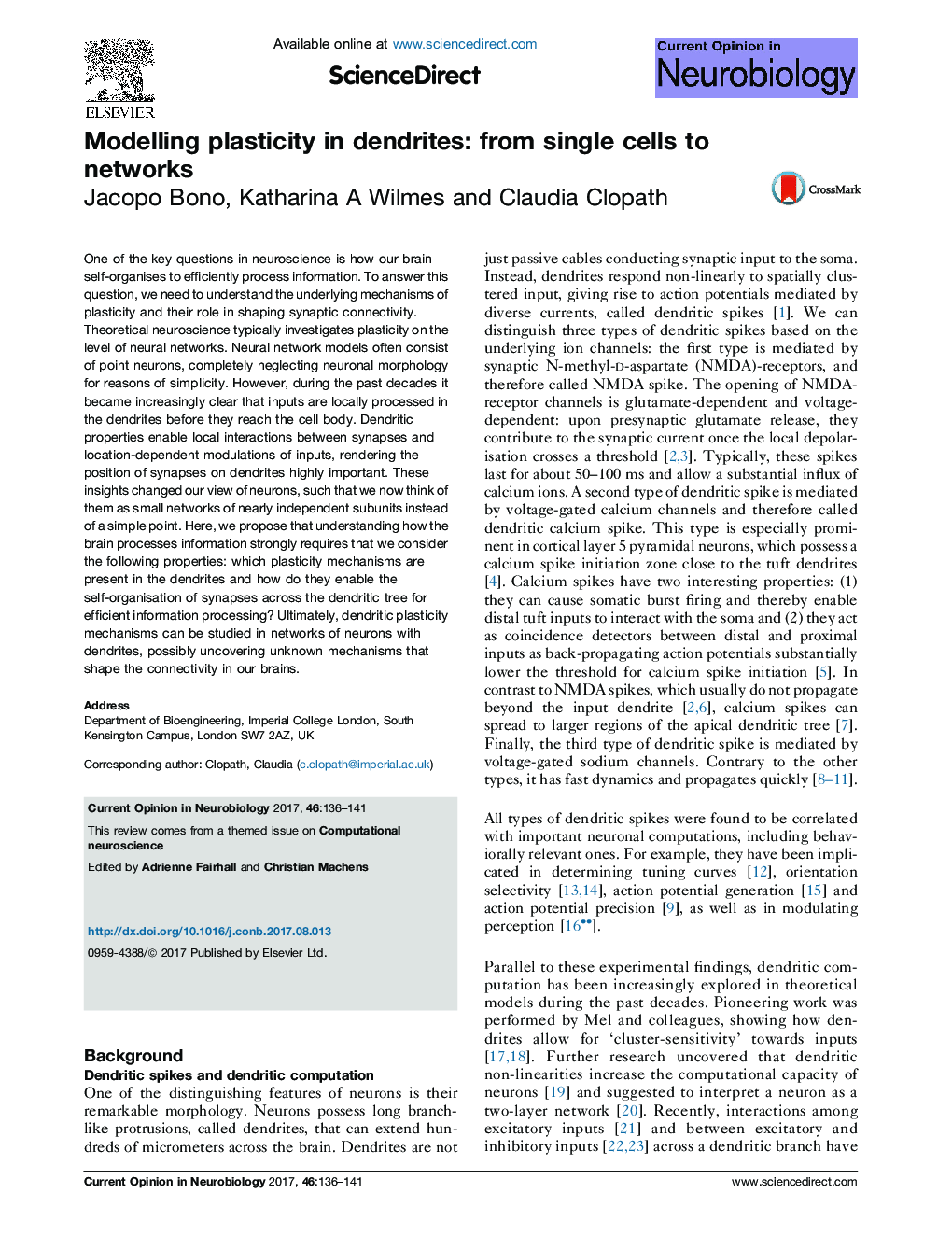 Modelling plasticity in dendrites: from single cells to networks