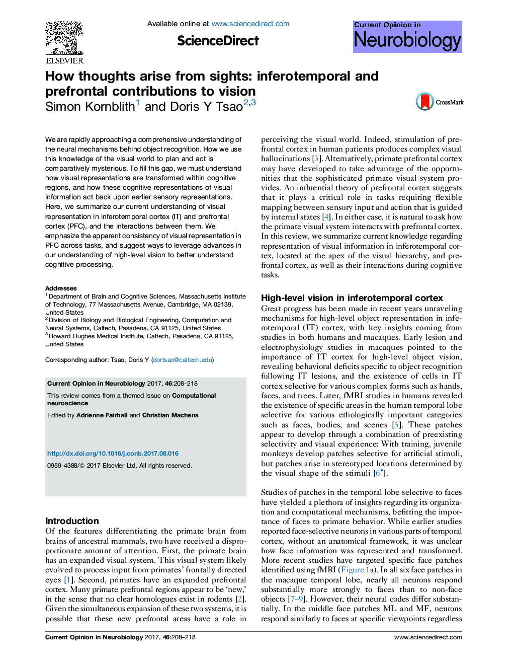 How thoughts arise from sights: inferotemporal and prefrontal contributions to vision