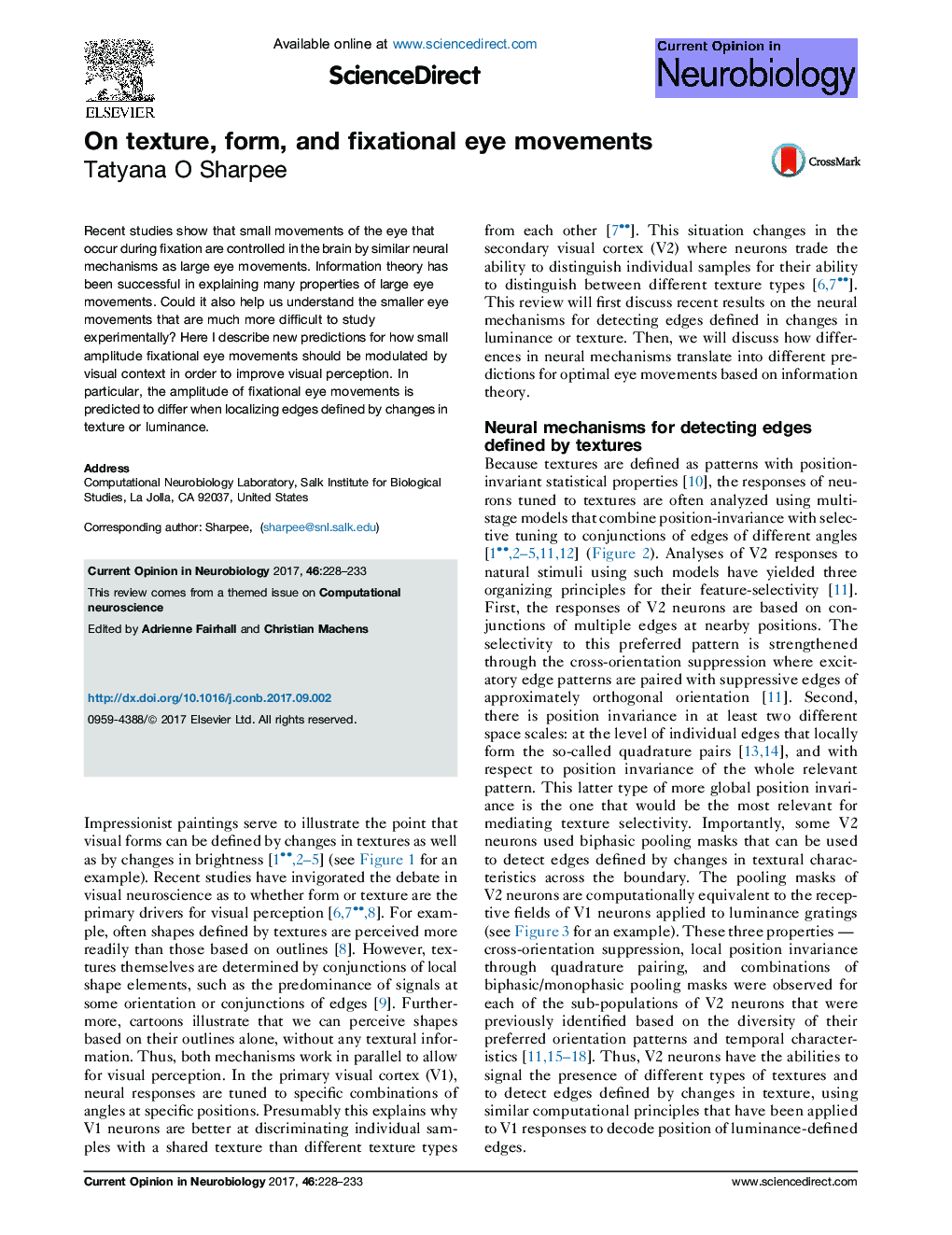 On texture, form, and fixational eye movements