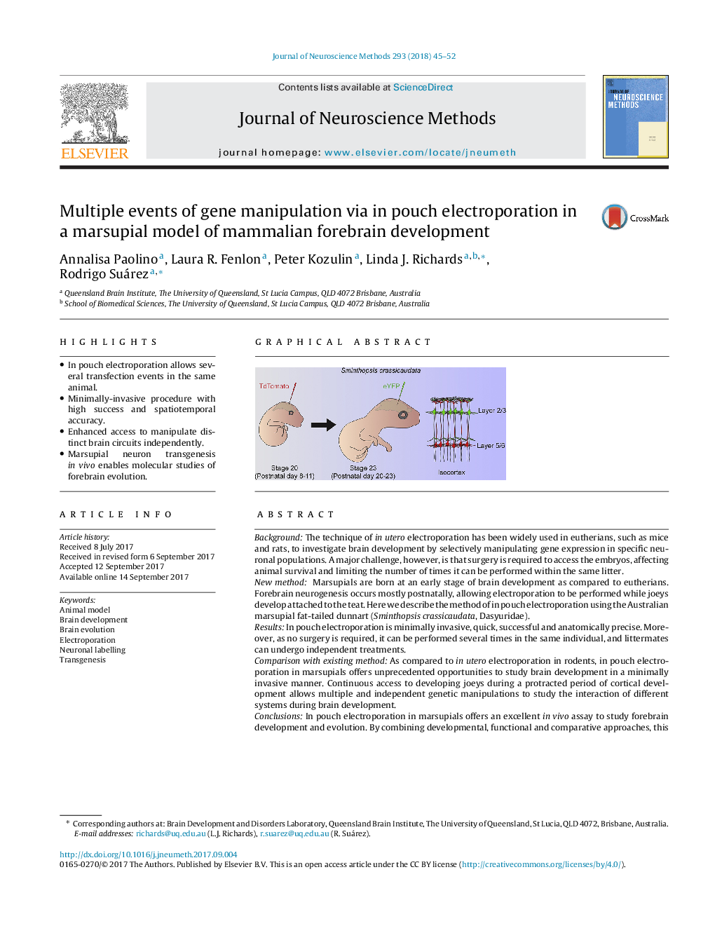 Multiple events of gene manipulation via in pouch electroporation in a marsupial model of mammalian forebrain development