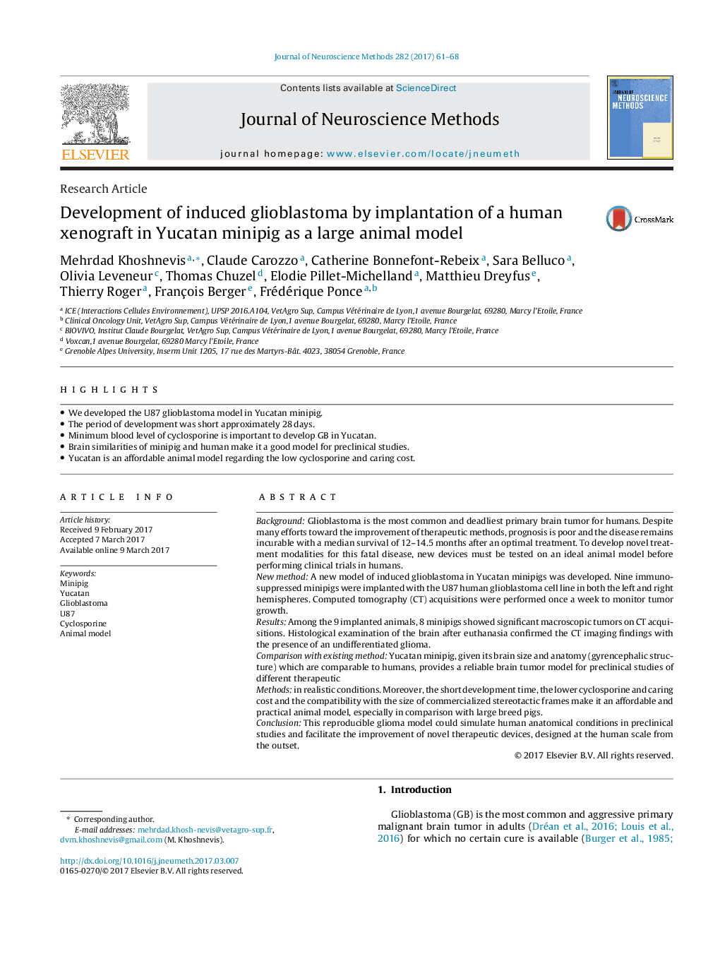 Development of induced glioblastoma by implantation of a human xenograft in Yucatan minipig as a large animal model