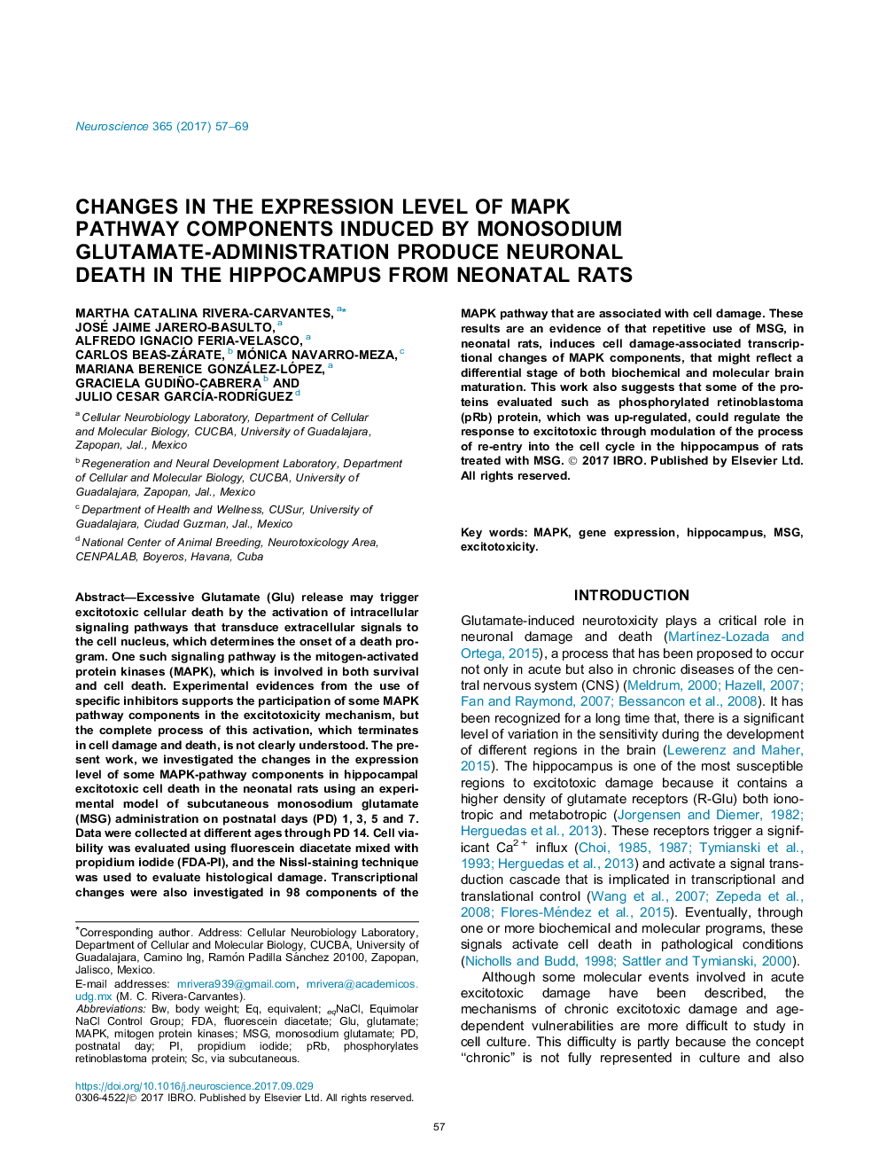 Changes in the expression level of MAPK pathway components induced by monosodium glutamate-administration produce neuronal death in the hippocampus from neonatal rats