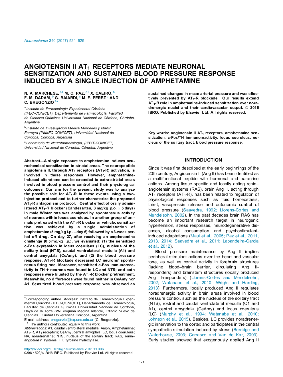 Angiotensin II AT1 receptors mediate neuronal sensitization and sustained blood pressure response induced by a single injection of amphetamine