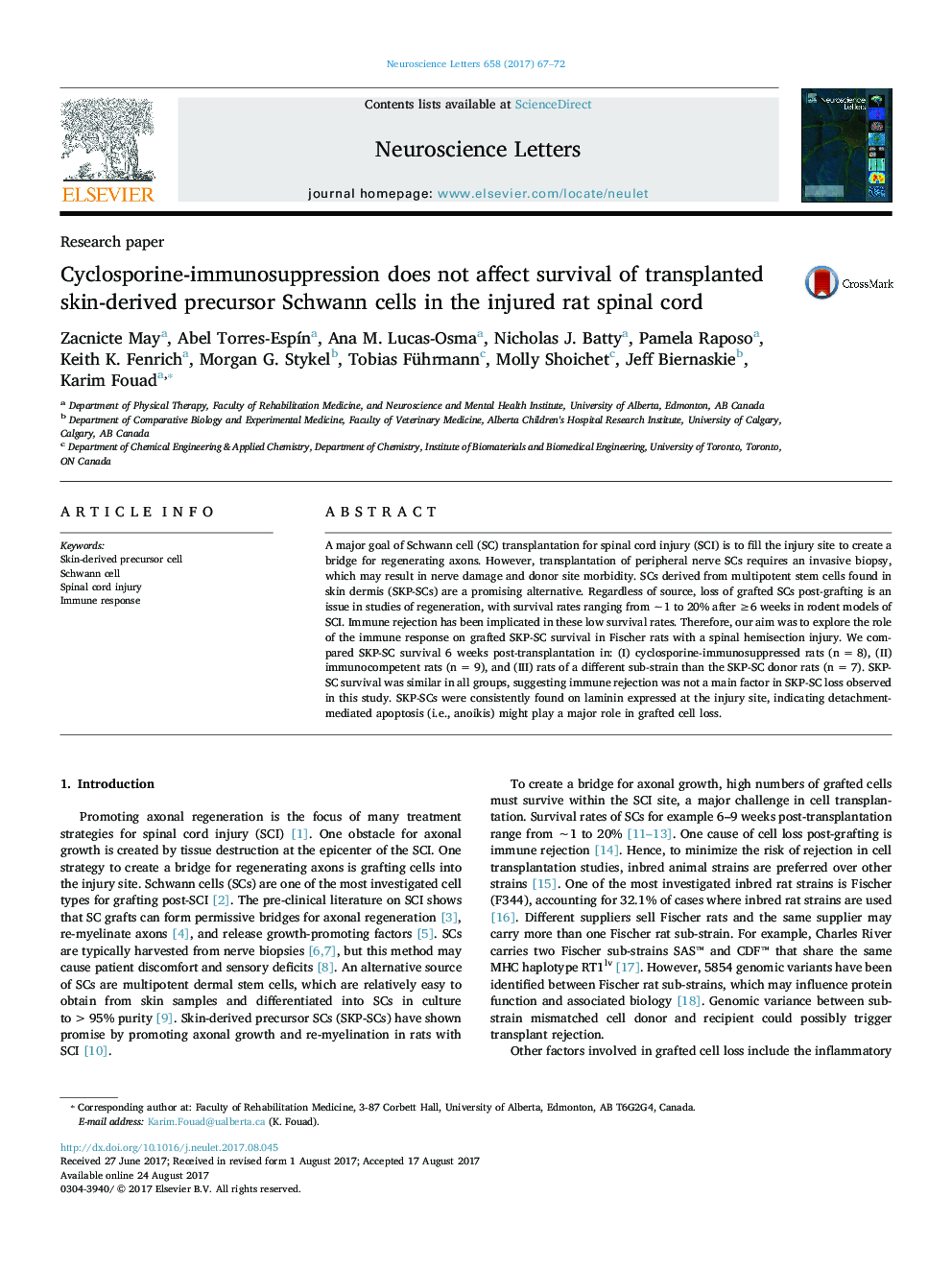 Research paperCyclosporine-immunosuppression does not affect survival of transplanted skin-derived precursor Schwann cells in the injured rat spinal cord