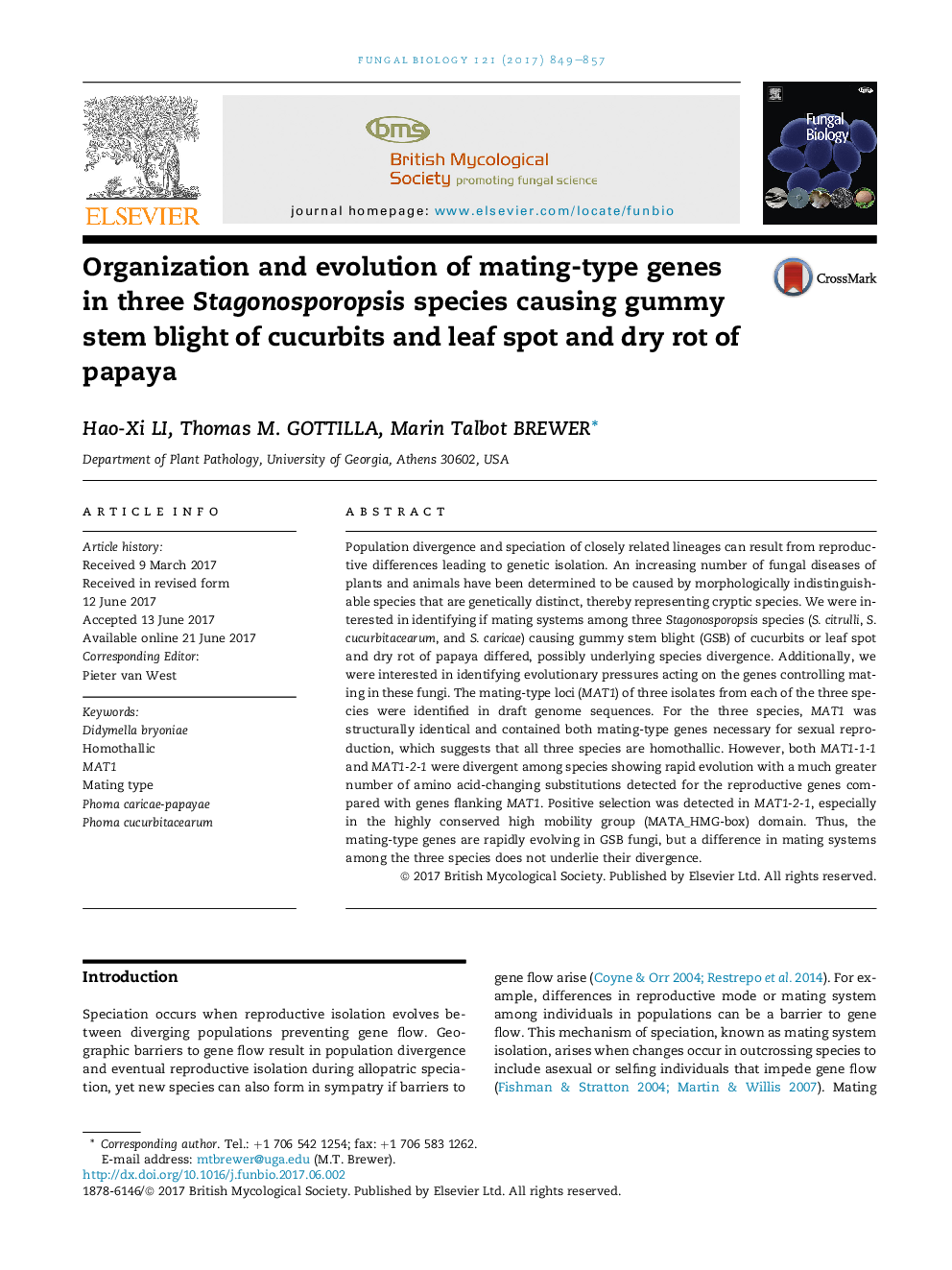 Organization and evolution of mating-type genes in three Stagonosporopsis species causing gummy stem blight of cucurbits and leaf spot and dry rot of papaya