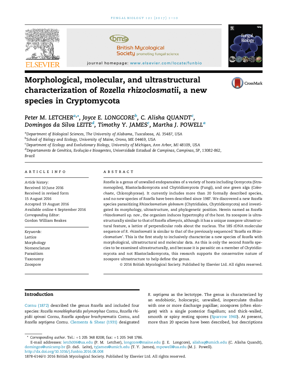 Morphological, molecular, and ultrastructural characterization of Rozella rhizoclosmatii, a new species in Cryptomycota