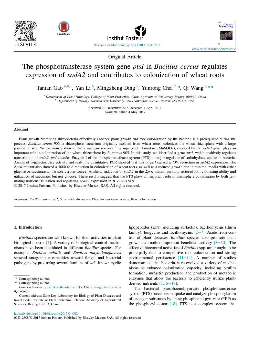 Original ArticleThe phosphotransferase system gene ptsI in Bacillus cereus regulates expression of sodA2 and contributes to colonization of wheat roots