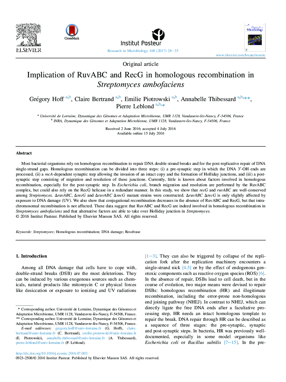 Original articleImplication of RuvABC and RecG in homologous recombination in Streptomyces ambofaciens