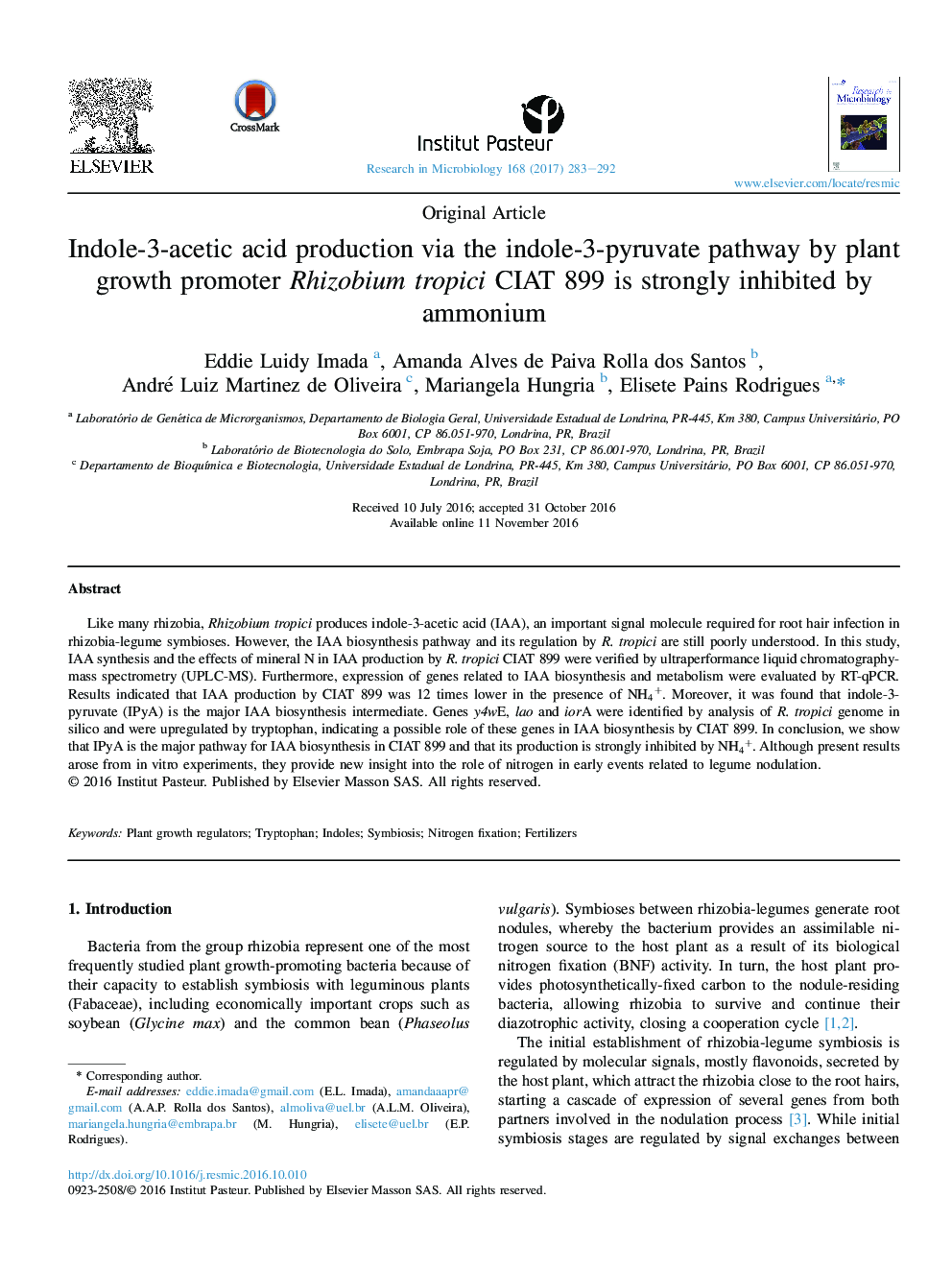 Original ArticleIndole-3-acetic acid production via the indole-3-pyruvate pathway by plant growth promoter Rhizobium tropici CIAT 899 is strongly inhibited by ammonium