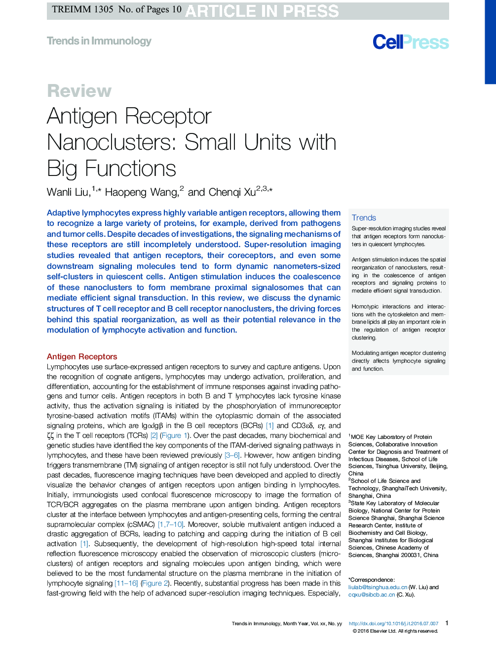 Antigen Receptor Nanoclusters: Small Units with Big Functions