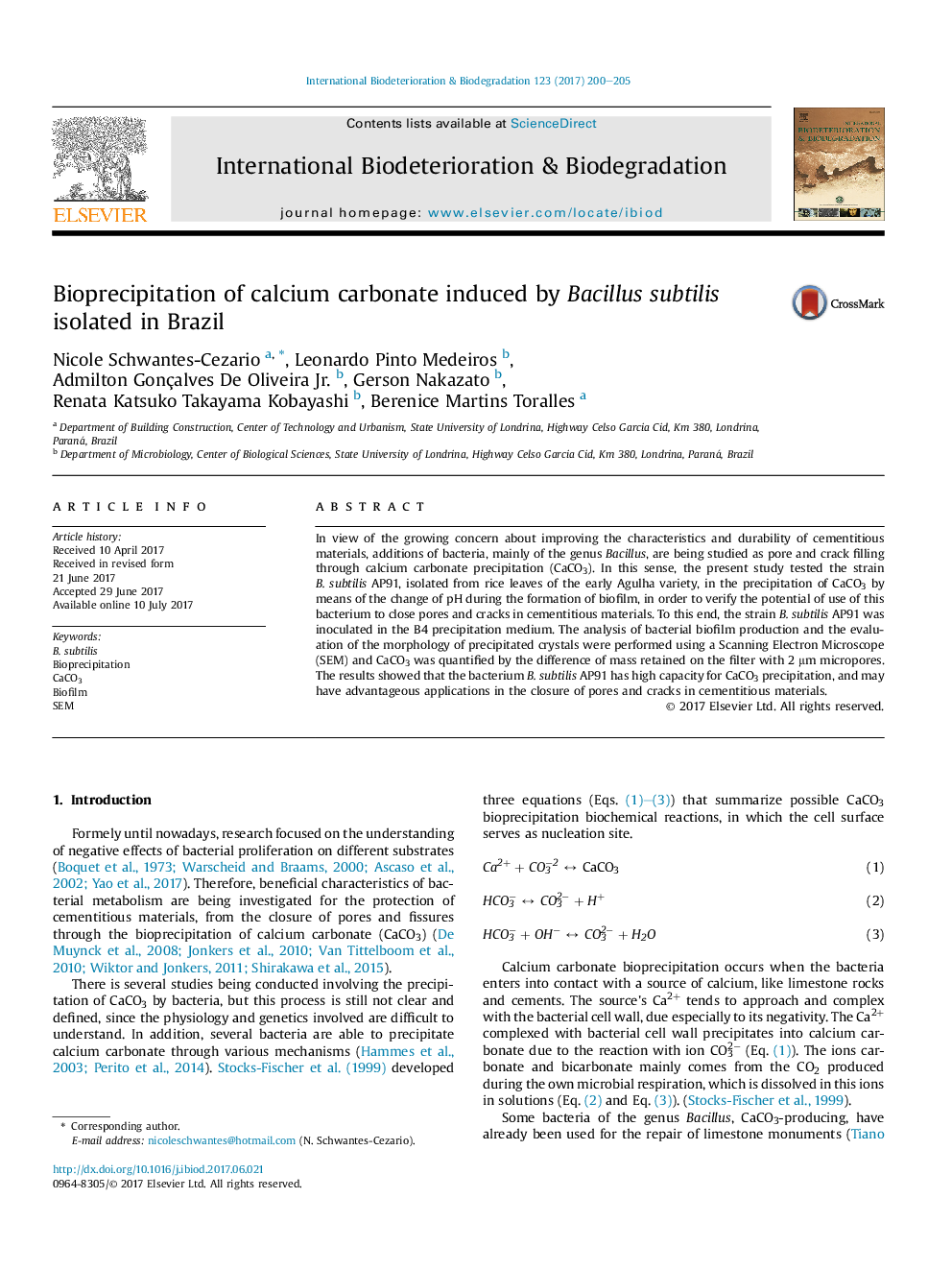 Bioprecipitation of calcium carbonate induced by Bacillus subtilis isolated in Brazil