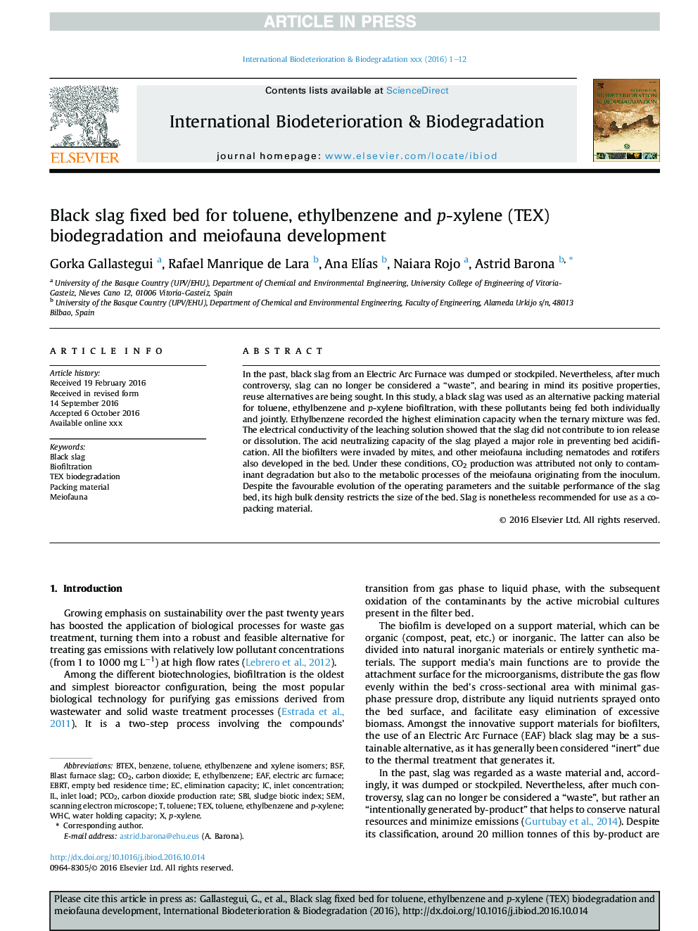 Black slag fixed bed for toluene, ethylbenzene and p-xylene (TEX) biodegradation and meiofauna development