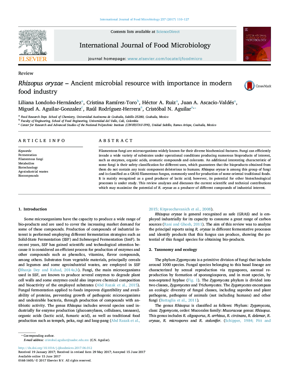 ReviewRhizopus oryzae - Ancient microbial resource with importance in modern food industry